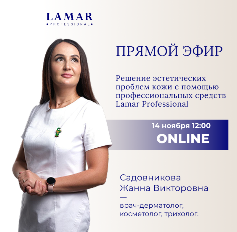 14 ноября 2025